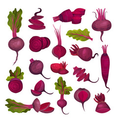 Ripe Purple Beet Root Vegetable With Top Leaves