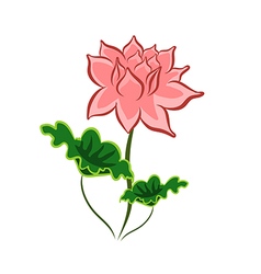 Lotus Flower