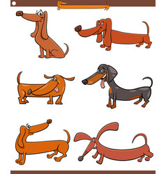 Cartoon Dachshunds Purebred Dogs Animal