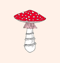 Red Cup Fly Agaric Hand Drawn