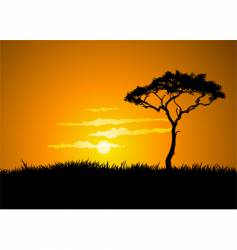 Savana Sunset