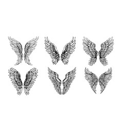 Set Of Wings Sketch Hand Drawn In Doodle Style