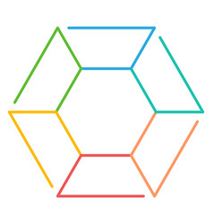 Color Line Hexagon Shape Infographic Diagram