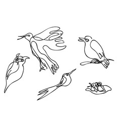 Simple Sketch 6 Bird Single One Line Art