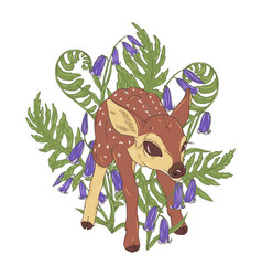 Young Deer And Fern Leaves And Bell Flowers