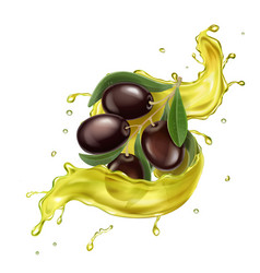 Olive Oil Golden Splash Black Olives Branch Oil