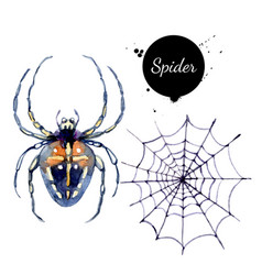 Watercolor Spider And Spiderweb Painted Isolated