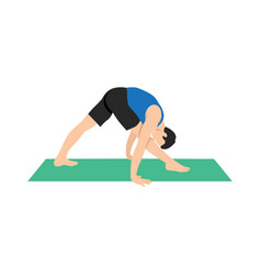 Intense Side Stretch Pose Parsvottanasana Exercise