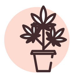 Marihuana In A Pot On A White Background