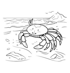 Crab On The Beach Coloring Book For Children