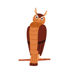 Cute Owl Sitting On Tree Branch Twig Funny Bird