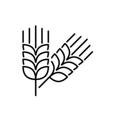 Farm Wheat Ears Line Icon