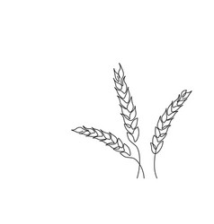 Single Continuous Wheat Grain One Line Art