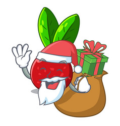 Santa With Gift Fruit Yangmei Isolated