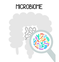 Human Microbiome With Intestines And Bacteria