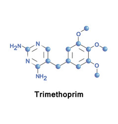 Trimethoprim Antibiotic Bladder Infections