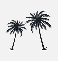 Palm Trees Silhouette