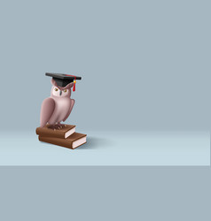 3d Owl With Graduation Cap Sitting On Books Brown