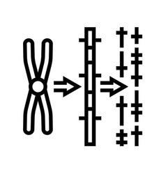 Gene Mapping Cryptogenetics Line Icon