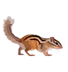 Realistic Chipmunk Icon Wild