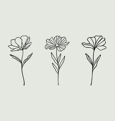 Wildflower Line Art Bundle