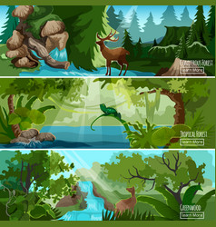 Forest Landscape Horizontal Banners Set