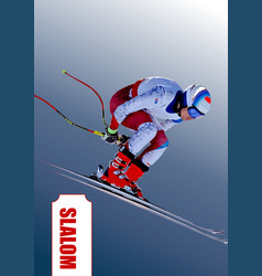 Slalom Skier 3d Color