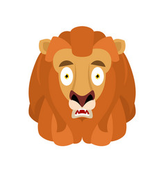 Lion Scared Omg Avatar Emotion Wild Animal Oh My