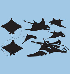 Manta Ray Eagle Rays Fish Silhouette