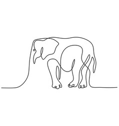 Elephant In Continuous Single Line Drawing A Wild