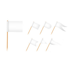 Toothpick Flags Wooden Toothpicks With White