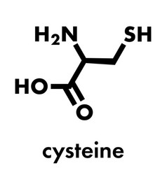 Cysteine L-cysteine Cys C Amino Acid Molecule