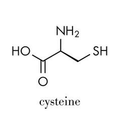 Cysteine L-cysteine Cys C Amino Acid Molecule