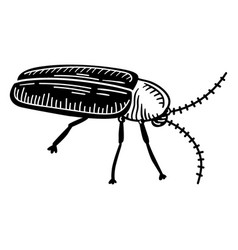 Cockroach Bug Cut-out