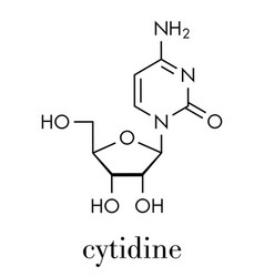 Cytidine Rna Building Block Molecule Skeletal