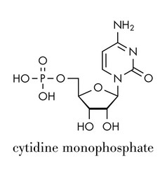 Cytidine Monophosphate Cmp Cytidylate Rna