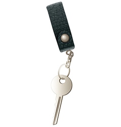 A Topview Of Key With Keychain