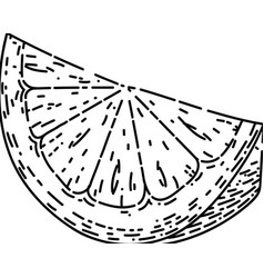 Slice Lemon Sketch Hand Drawn