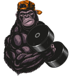 Gorilla Fitness Vector Images (over 100)