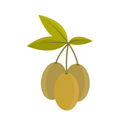 Olives Branch Icon