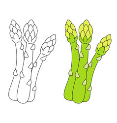 Asparagus Isolated Coloring Page For Kids