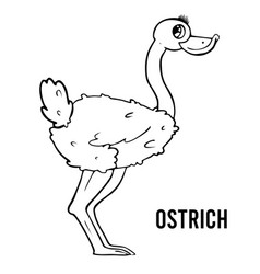 Ostrich Coloring Page For Preschool Children