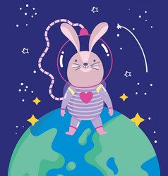 Space Rabbit On Earth