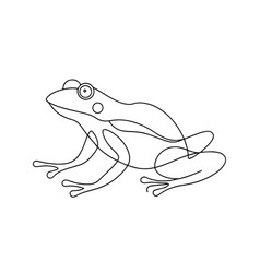 Frog Continuous Line Art On White Background