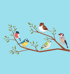 Birds On A Branch Cartoon Animals Sitting