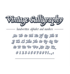 Calligraphy Alphabet Vector Images Over 150 000