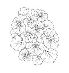 Easy Geranium Flower Drawing Doodle And Tattoos