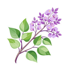 Spring Branch Of Blooming Lilac