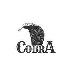 Vintage Retro Black Mamba Cobra Snake Head Logo