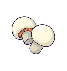 Cute Mushrooms Cartoon Icon Food